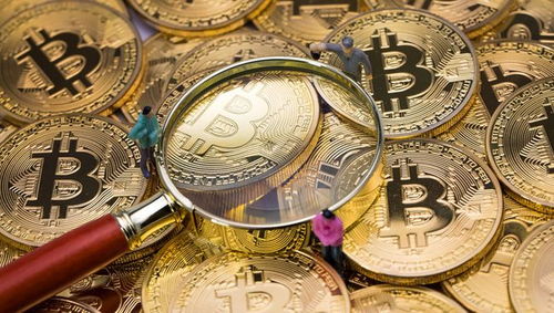 A股六大数字货币龙头股，国家队重仓布局，网络与信息安全软件开发价值被低估